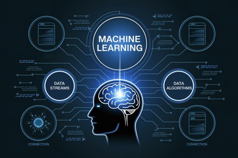 Predictive Modelling fitness 19-1080